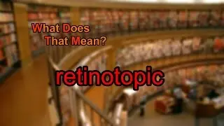 What does retinotopic mean?