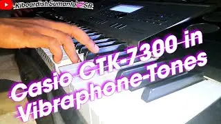 || Casio CTK-7300 in || Vibraphone Tones...