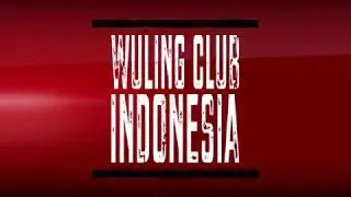 Video Deklarasi WuLing CLUB Indonesia di TMII 28 Oktober 2017