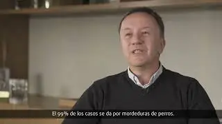 Prevenci&oacute;n de la rabia canina felina| La importancia de la vacunaci&oacute;n