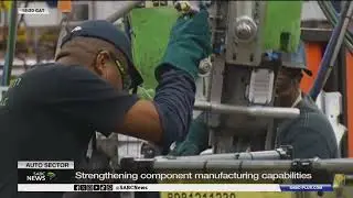 Minister Parks Tau engaged in talks with Egypt, Algeria to strengthen automotive industry