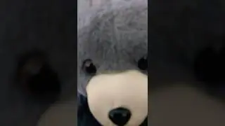 my toys be like🤣😅
