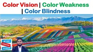 Color Vision | Color Weakness | Color Blindness | Eye Physiology