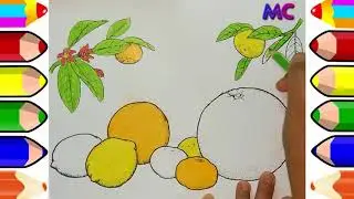 Learn Colors With Fruit Coloring Pages For Kids How To Coloring Lemon And Orange | Magic Colors