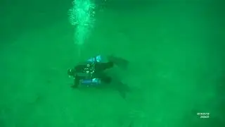 Split Fin Sidemount Diver