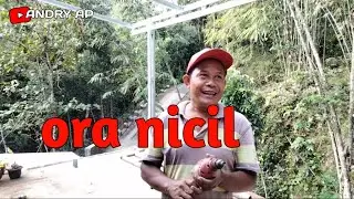 ngode harian @ official digile ||. Andry ap.