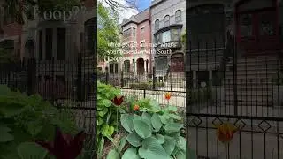 Live Near Downtown Chicago Without the Chaos &mdash; South Loop Tour!