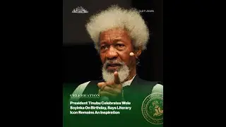President Tinubu Honors Wole Soyinka on 91st Birthday Amid Mixed Public Reactions