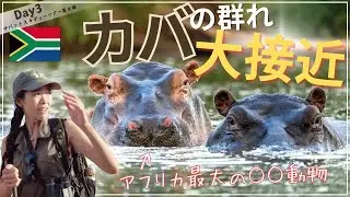 Day3「サファリガイド学校」短期体験ツアー！圧巻の夕焼け！カバと歩いて大接近！