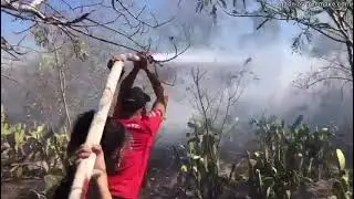 &Aacute;guia Resgate combate inc&ecirc;ndio na zona rural de Coit&eacute;