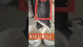 Mini Rice Mill | 10 Hp Rice mill| Chawal Dhan Machine| Business Idea #2024