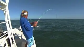 Bull Red Fishing on Light Tackle off Florida's Space Coast Beaches