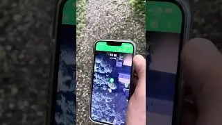 Geocaching - Geocache suchen in Juelsminde D&auml;nemark beim Odelsberg mit App auf Handy bei Juelsberg