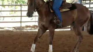 MOV03653.MPG