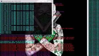 IRC Botnet Spots