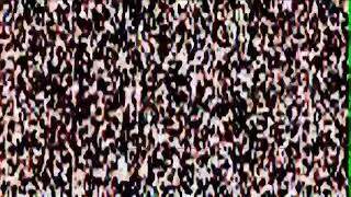 Sony Vegas red tv simulator effect CapCut