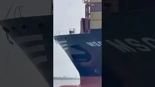 Large MSC Container Ship [Port of Long Beach]