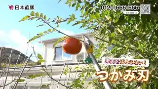 【日本直販 公式チャンネル】【日本直販限定】高枝切りばさみ豪華4点セット