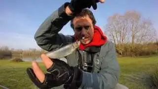 tonbridge twitch sprat | ADVENTURE FISHING