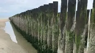Golfbreker op strand bij laag water