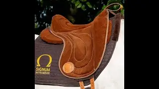 Jak správně nastavit jezdecký pad/paddle SIGNUM? | HORSIMO