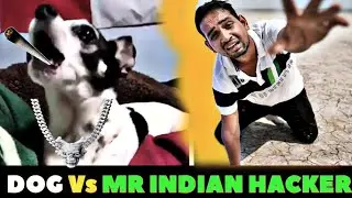 Dog Roasting @MRINDIANHACKER । VDX ROASTING VIDEO