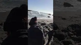 Rockhounding life