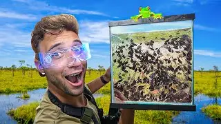 CRIANDO um EXÉRCITO de SAPOS na MINHA CASA do LAGO
