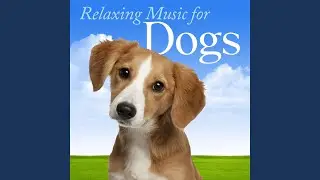 This Heart Endures: Music to Help Deal With Grief from Loss of Pet, Old Dog