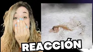REACCIÓN A MR HYDE DE BELÉN AGUILERA ¡LA AMOOO!!