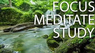 DIGITAL WINDOW - 1 HR Rain Nature Scene and Music for Sleeping, Relaxing and Studying
