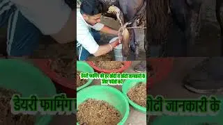 cow buffalo milk increase tips #shorts