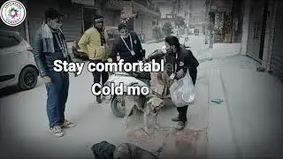 Lets save street dogs from chilling winters||Empowering Humanity