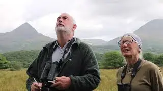 Modrwyo Cywion Glaslyn 2023 Chicks are Ringed