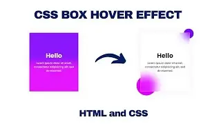 Box Hover Effect in HTML CSS With Source code | Box With Hover Effect CSS | Source coder 2022