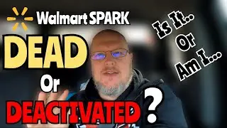 Entertaining Walmart SPARK Delivery (4 Hour Ride Along Challenge) | Vlog Ep. 0014