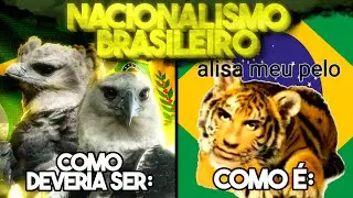 INTANKAVEL O NACIONALISMO BOSTILEIRO