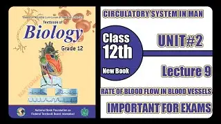 BLOOD CIRCULATORY SYSTEM IN MAN CHAPTER#2blood circulation#HSSC-2lec#9 NEW BOOK 2025