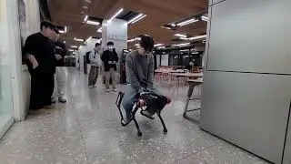 [PongBot-Q] Riding Experiment on a Quadruped Robot