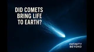 Did Comets Bring Life to Earth  Comet K2 and the Origins of Life