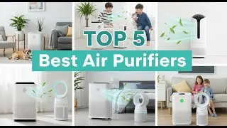 TOP 5 Best Air Purifiers 2026 | This Air Purifier Cleared My Allergies in Days