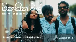 Wikasitha Mal (විකසිත මල්) - Mahiru Senarathne | Female Cover by Lankastra | Sinhala Love Song 2025