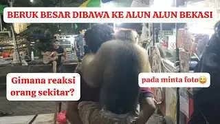 Bastian dan Michael si beruk besar jalan jalan ke alun alun kota Bekasi