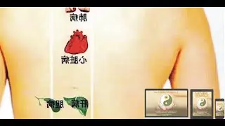 Natural Synergy Cure Program and Reflexology Chart | Activating Jing, Qi, Shen by Natural Synergy