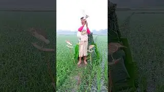 🦩🙏🌾🍆Video Latihan Cicem Tora Buck Baru .