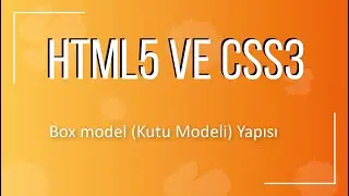 31 - Box Model (Kutu Modeli) Yapısı