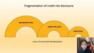 CLD: Credit Risk Disclosure