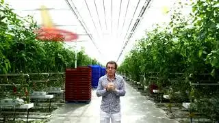 Principe d'une serre