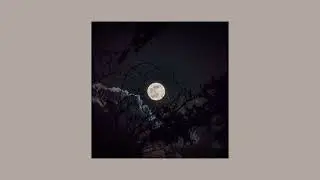 Tek it - Cafune [Acoustic version] Sped up