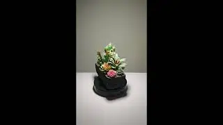 Artificial Cactus & Succulent Planters | Faux Plant Decor (No Maintenance!)